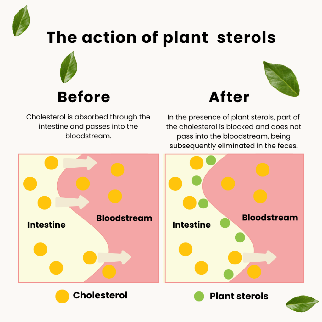 Protecardio Nutribiolite Plant Sterols