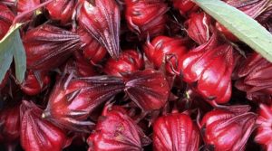Uritractin Nutribiolite cranberries Urinary infections cystitis hibiscus